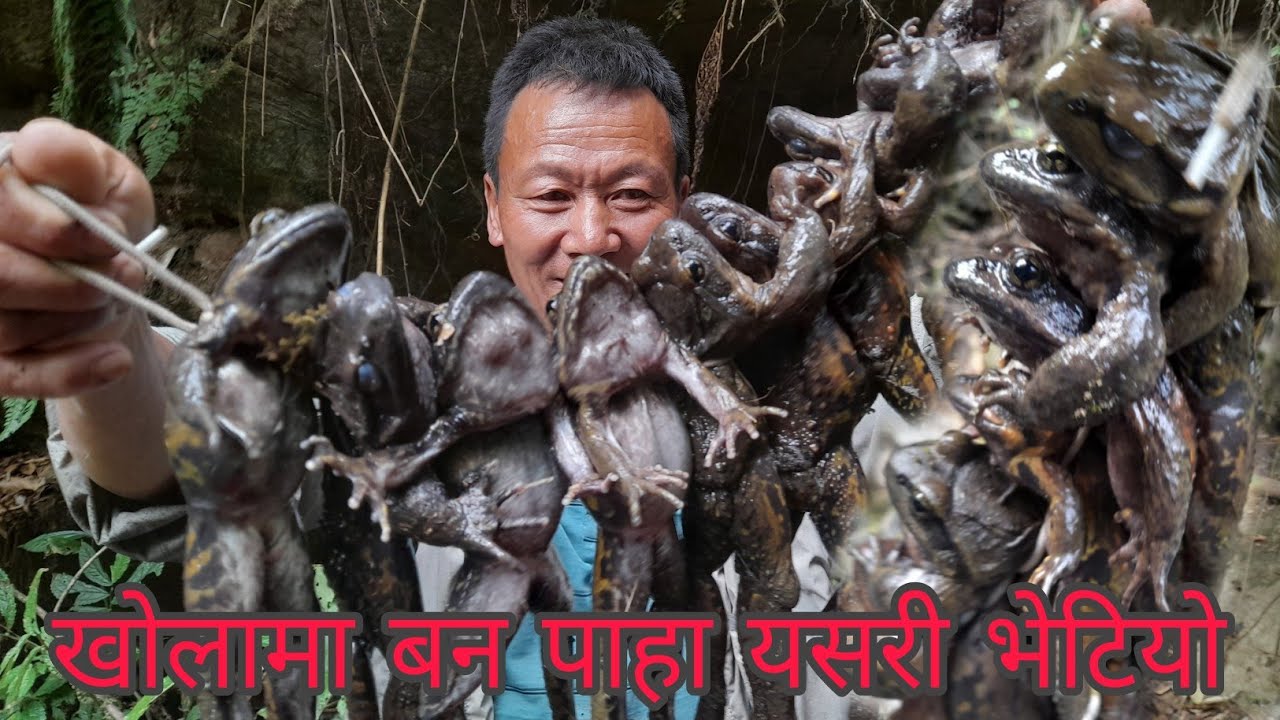 खोलामा बन पाहा यसरी भेटियो