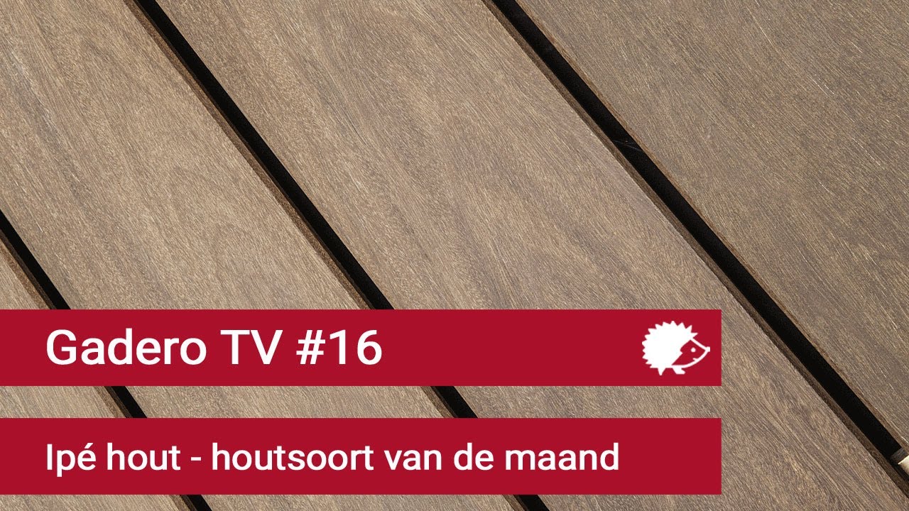 #16 GaderoTV Houtsoort van de Maand Juni: Ipé hout