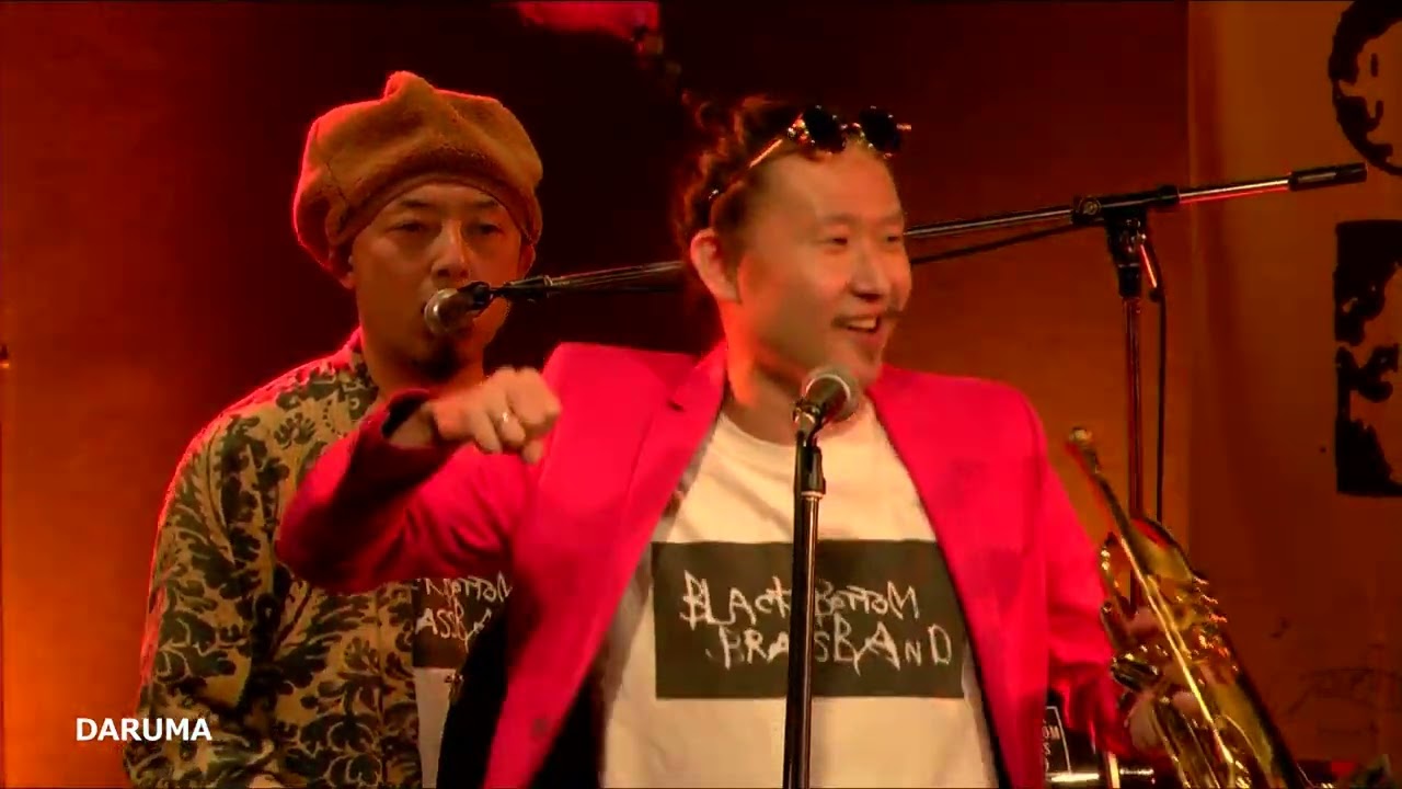 『DARUMA』BLACK BOTTOM BRASS BAND／ブラックボトムブラスバンド