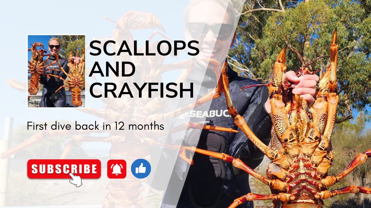 East Coast Tasmania, Scallop and Cray Diving