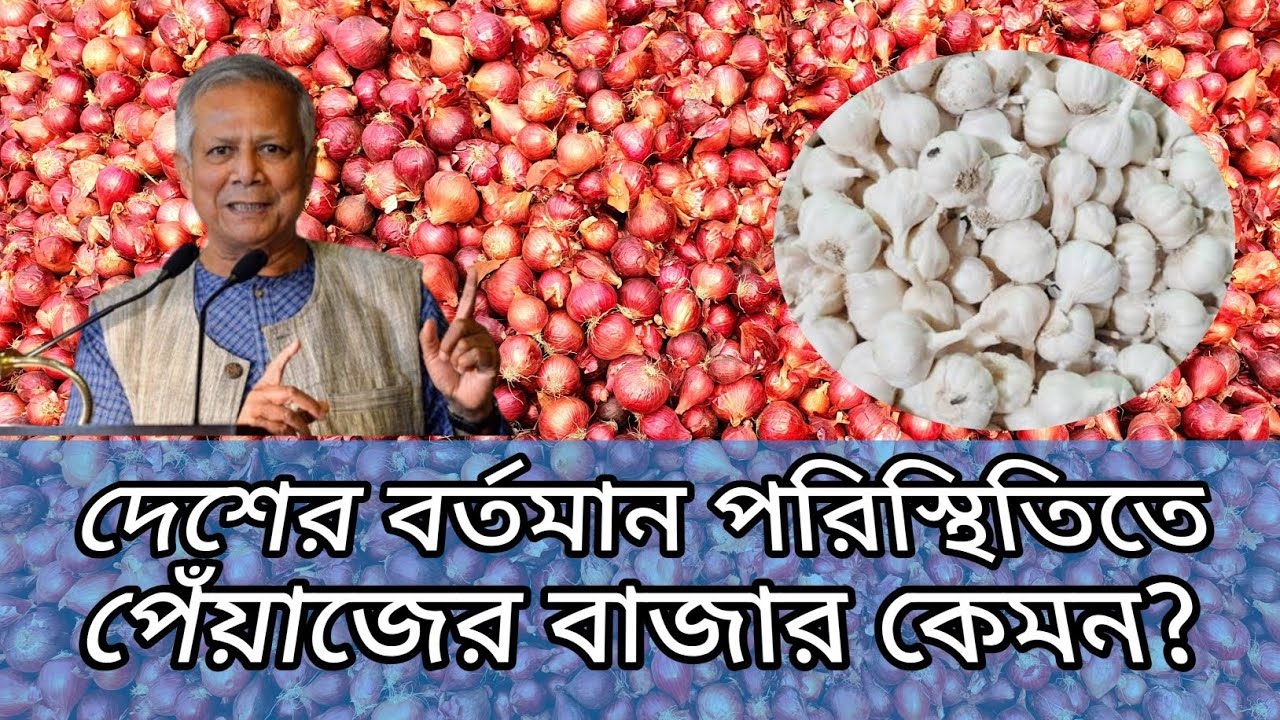 আজকে পেঁয়াজ ও রসুনের পাইকারি দাম। ১৬/০৫/২০২৫ #onion #foodprice #piyaj #পেয়াজ #পিয়াজ