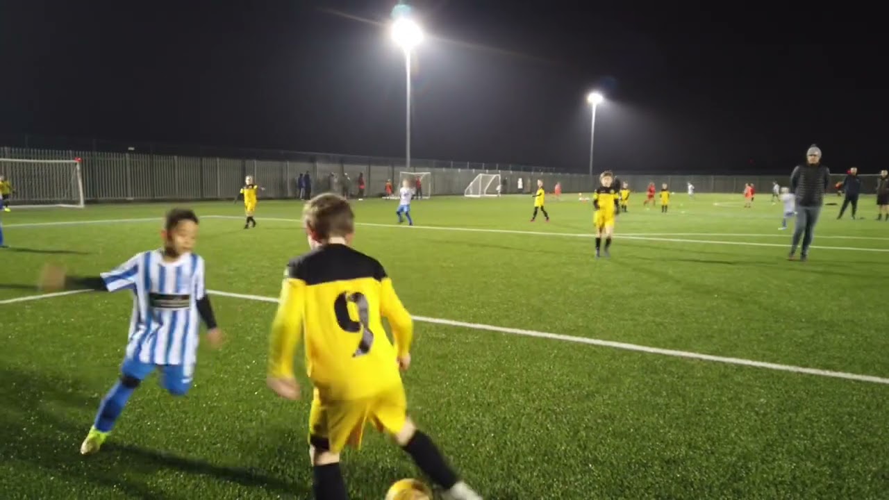 Linnets V Beechwood