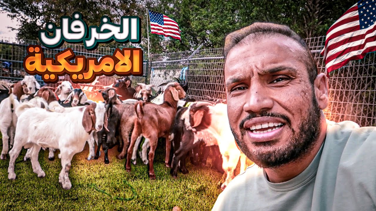 عشان كذا إنتبه لمّا تختار هالأمور في أمريكا 🇺🇸!