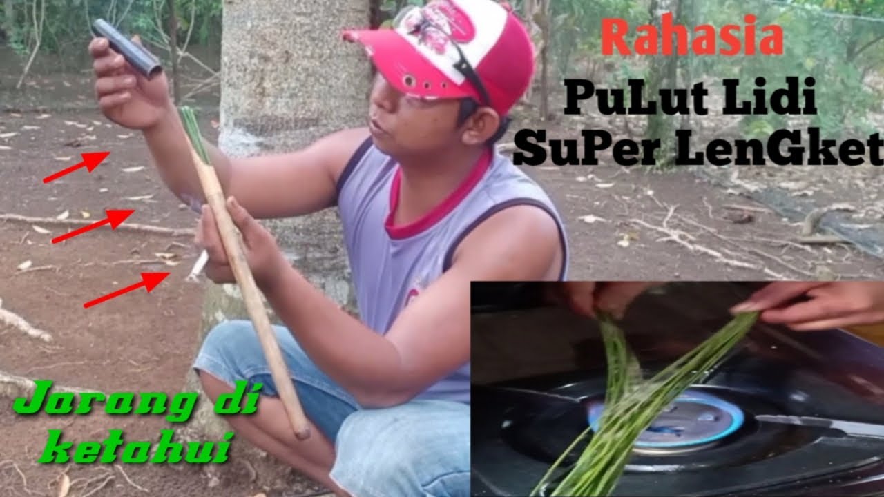 Cara Buat Lem PuluT LiDi