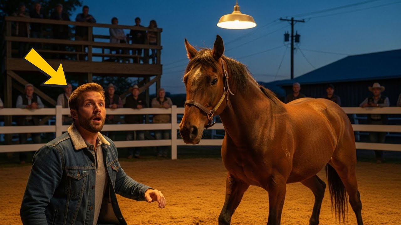 ÉL ERA UN GRANJERO ARRUINADO HASTA QUE LA PEQUEÑA YEGUA QUE COMPRÓ EN LA SUBASTA CAMBIÓ SU DESTINO.