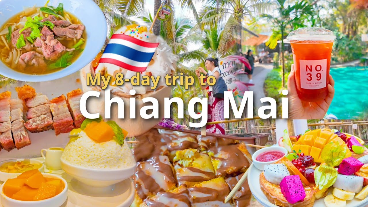 치앙마이 7박8일 총정리🇹🇭 한국인 관광객이 다녀온 진짜 코스 | 혼자 여행하는 브이로그