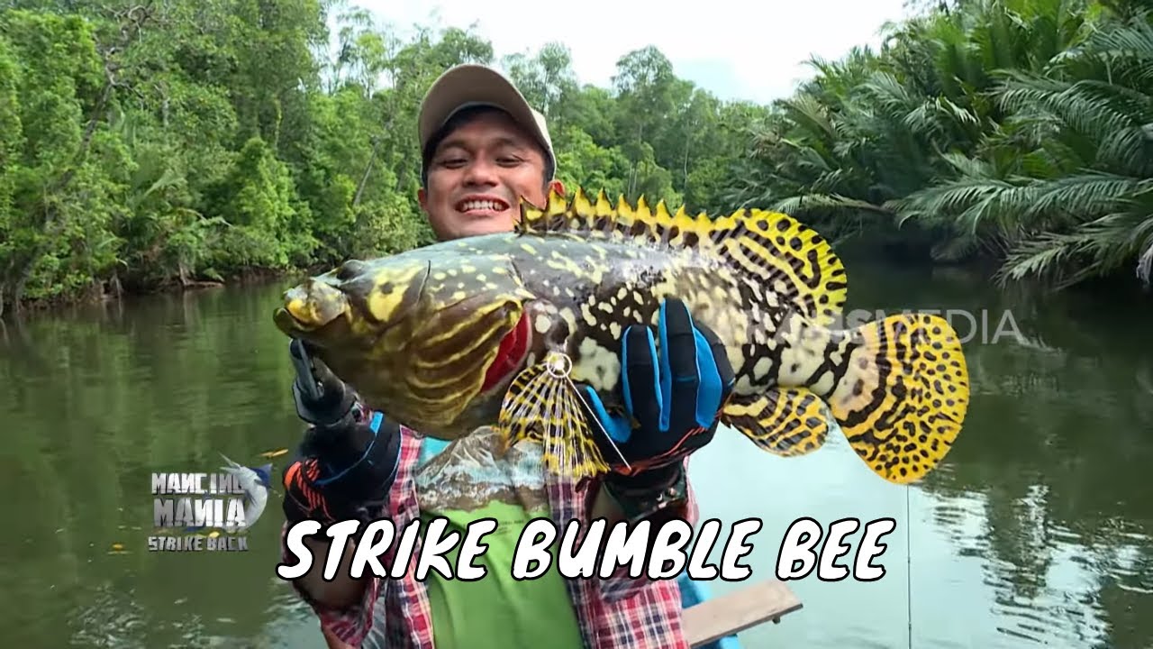 Sensasi Sambaran Ikan Monster Penghuni Ikan Payau | MANCING MANIA STRIKE BACK (10/08/25) Part 1