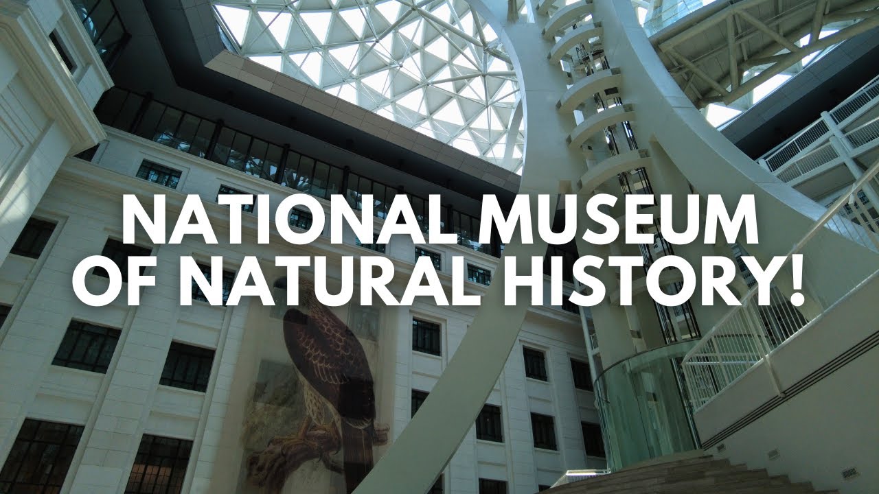 National Museum of Natural History | Walking Tour | Manila Philippines