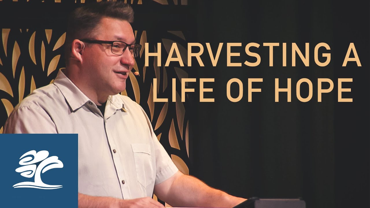 Provision | Joshua Masters