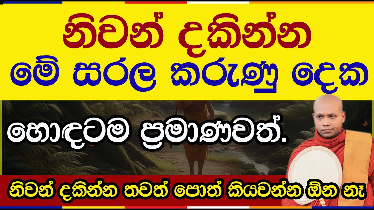 කා මතවත් යැපෙන්න එපා - සැබෑ සැනසීම සොයා යන මඟ | Sadaham Maga | Hasalaka Seelawimala Thero | 2989