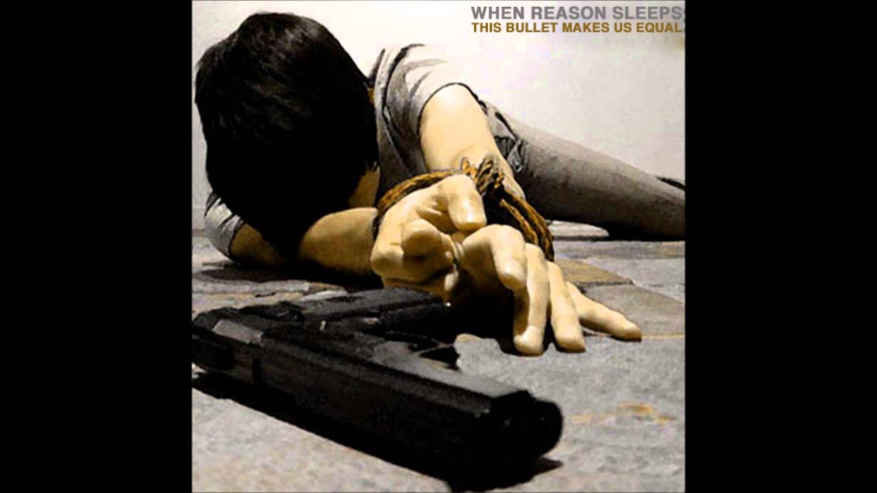 When Reason Sleeps - Steven Seagal is The Final Option