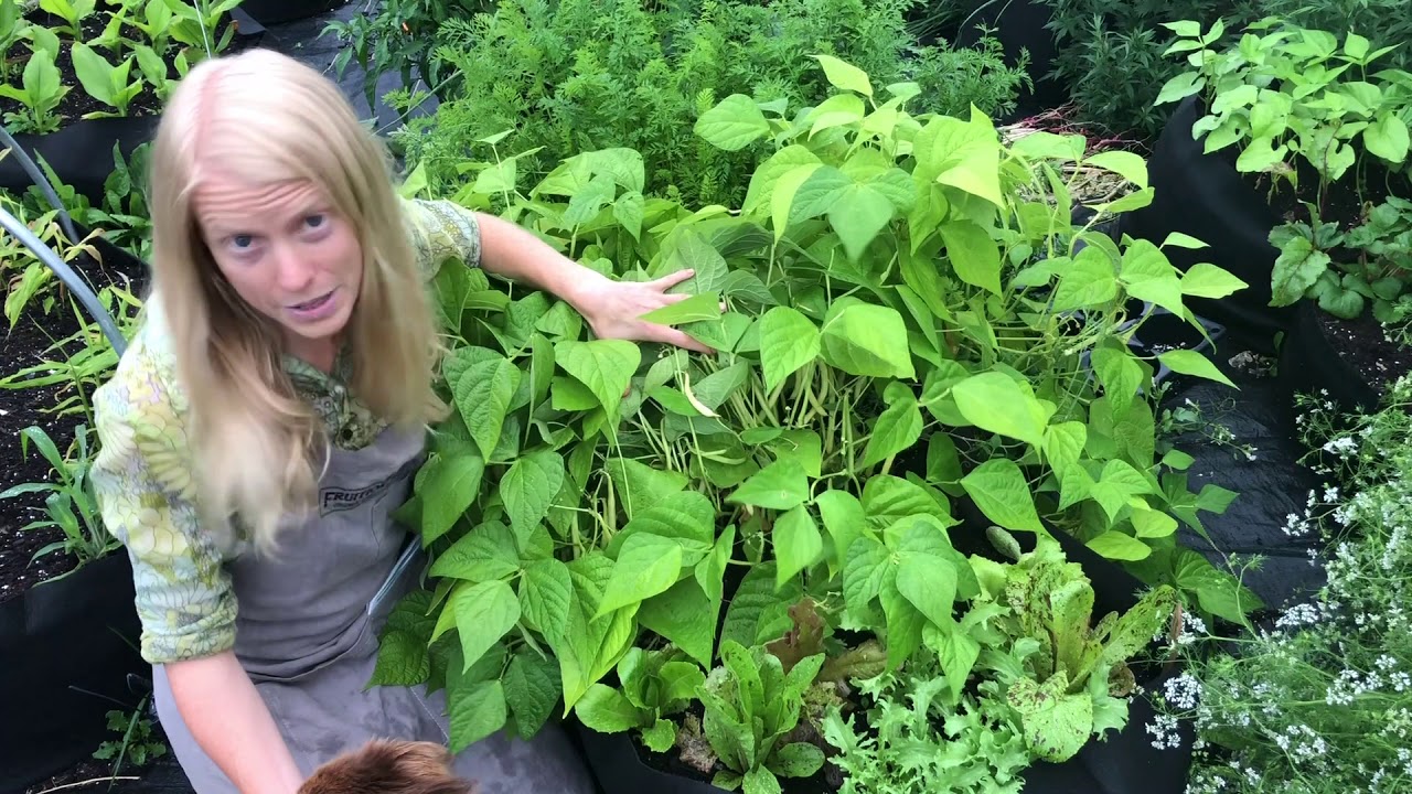Growing in Smart Pots