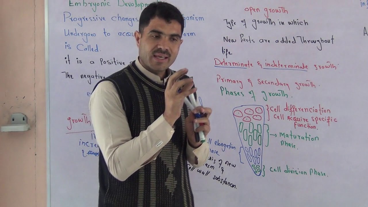 Devolopment in plants, phases of growth urdu hindhi by Dr Hadi