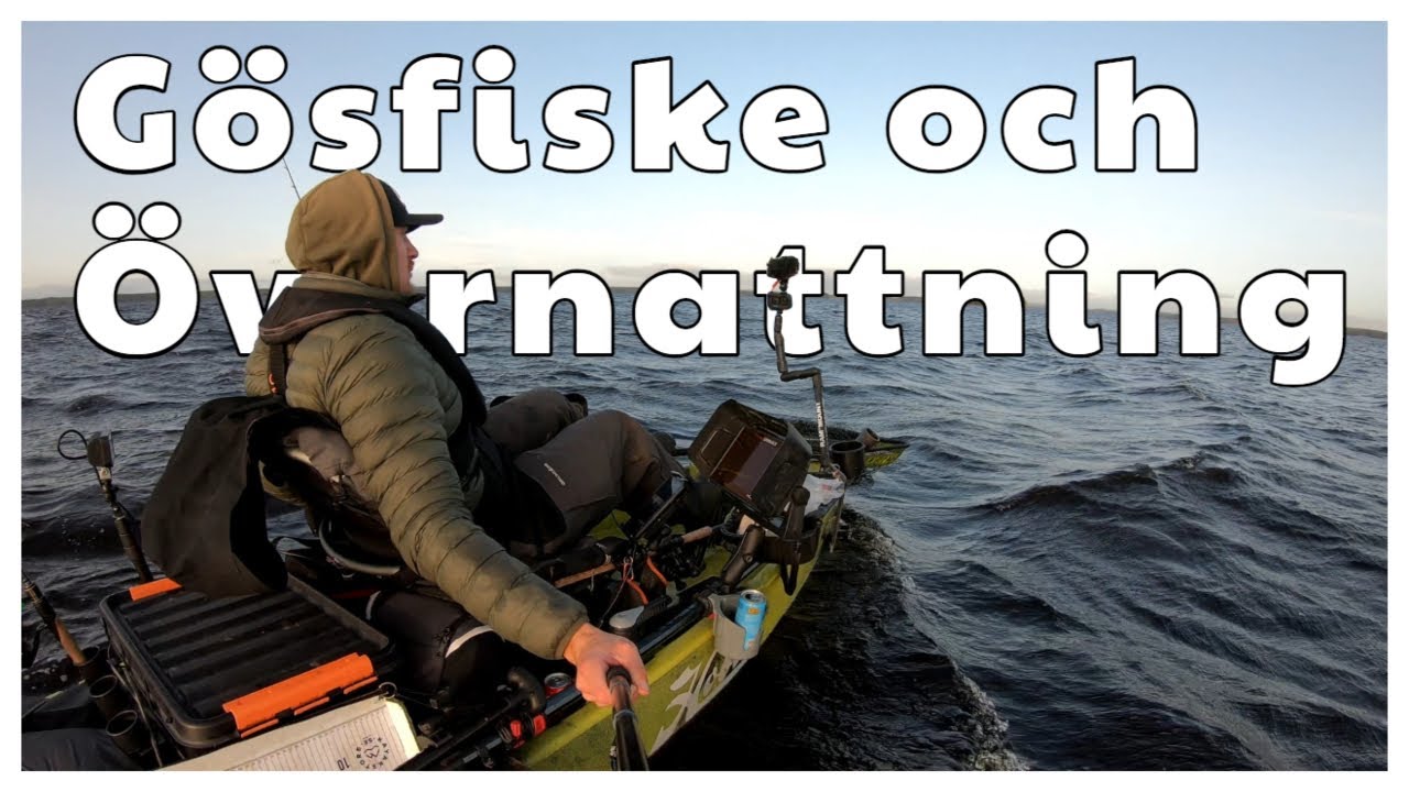 Gösfiske, Matlagning och Övernattning på Öde Ö: Vildmarksäventyr
