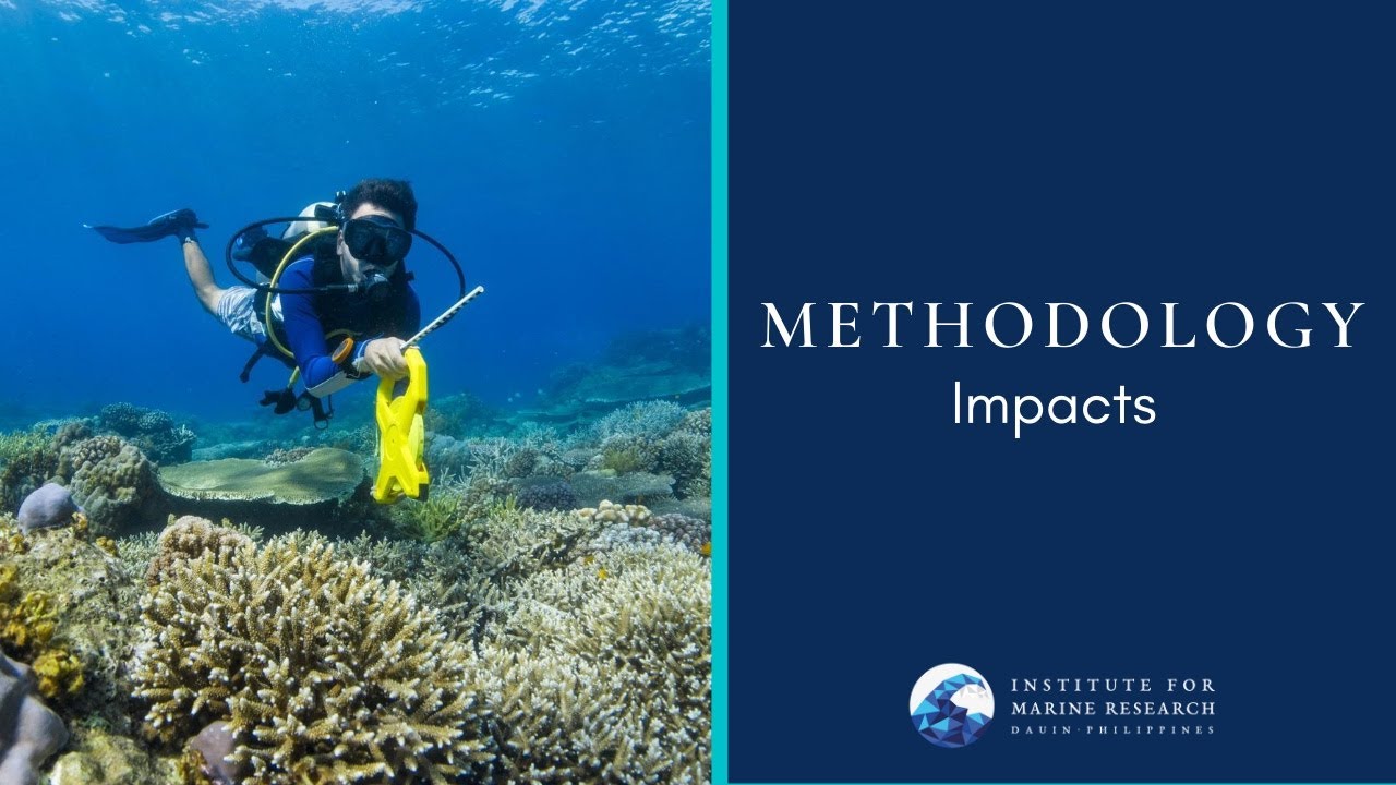 Methodology: Impacts