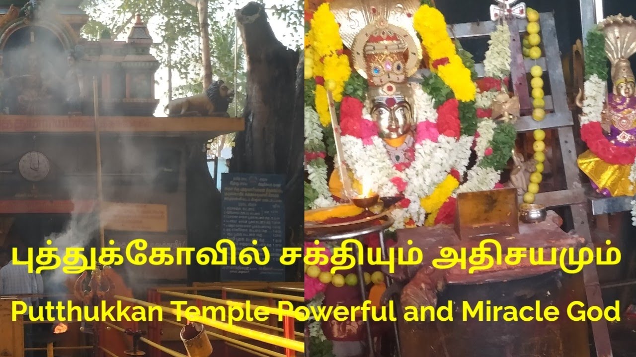 புத்து கோவில் வேலூர் மாவட்டம்/Temple Vellore district/Puthu kovil miracles and powerful God/vlog 2