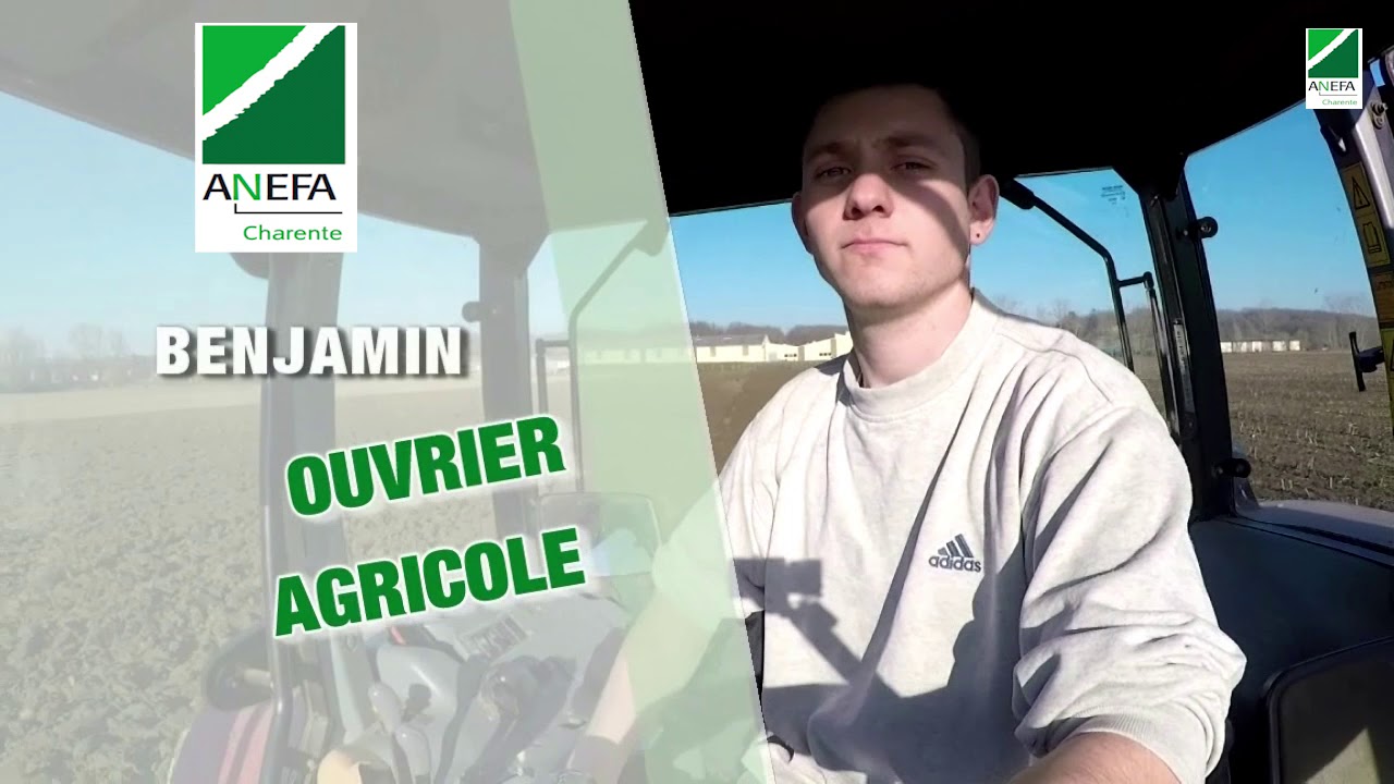 Elevage Laitier - ANEFA Charente