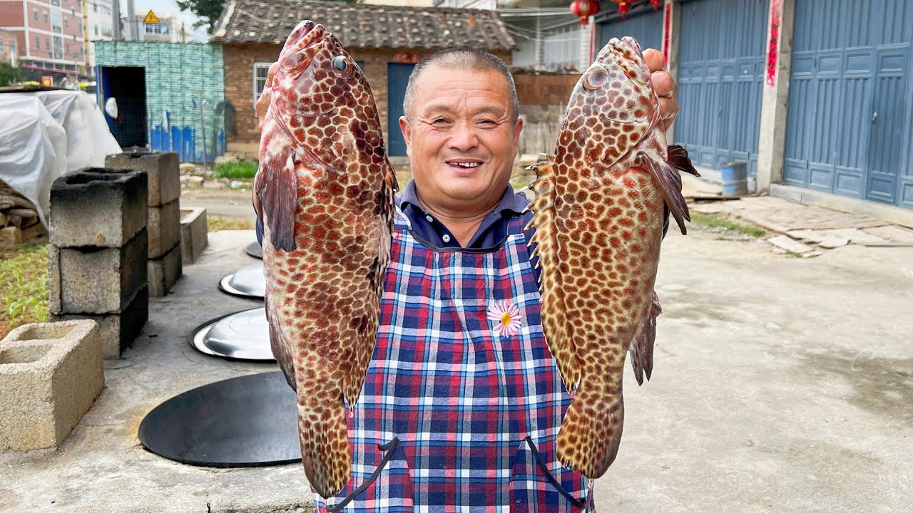 1820買2條“玳瑁石斑魚”號稱石斑魚中的貴族，魚鮮肉嫩名不虛傳！