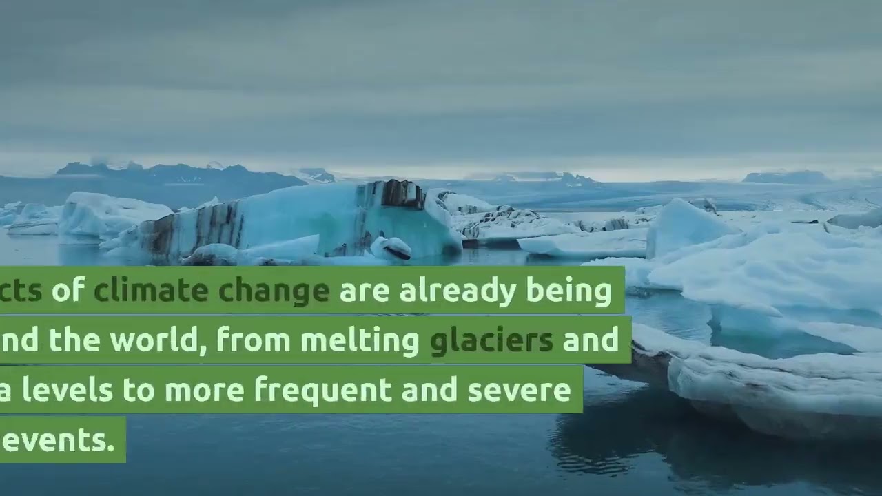 Fossil Fuels: What They Are and Their Impact on the Environment?