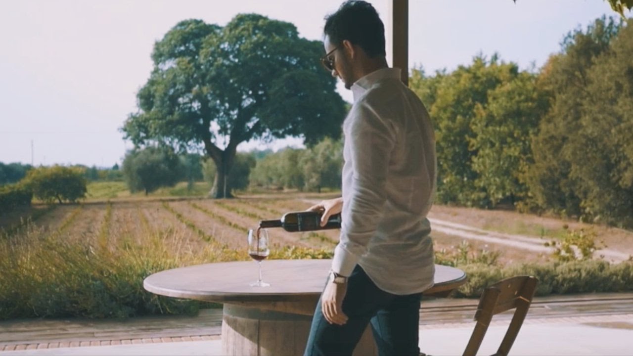 PietraNova® - Bolgheri DOC