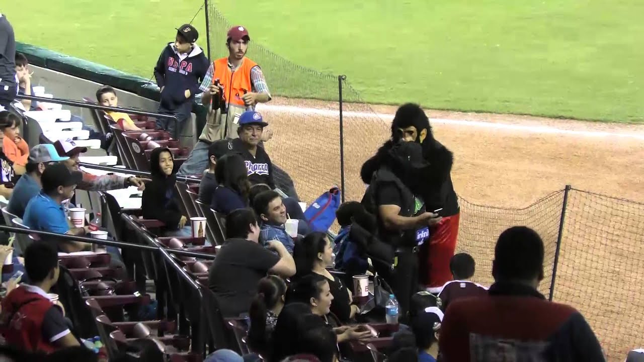 Pollo Tomas Vs Chango 0 te | Club Tomateros de Culiacán