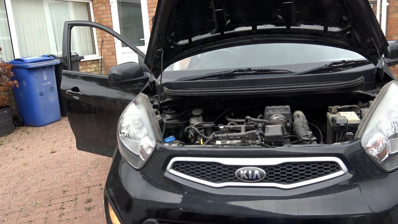 Kia Picanto 6 Month Service Time!