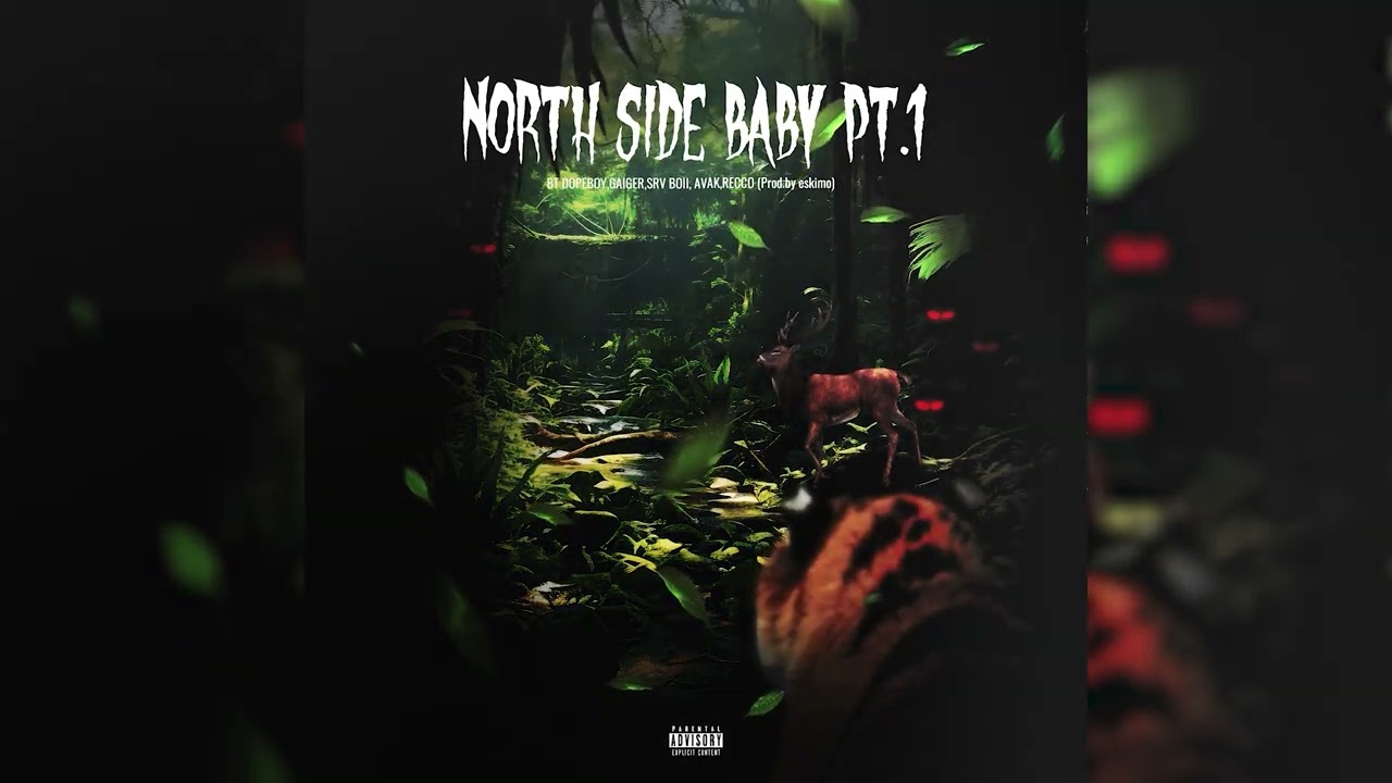 Northside Baby Pt. 1 - BT DOPEBOY, GAIGER, SRV BOII, AVAK, RECCO (Official Visualizer)