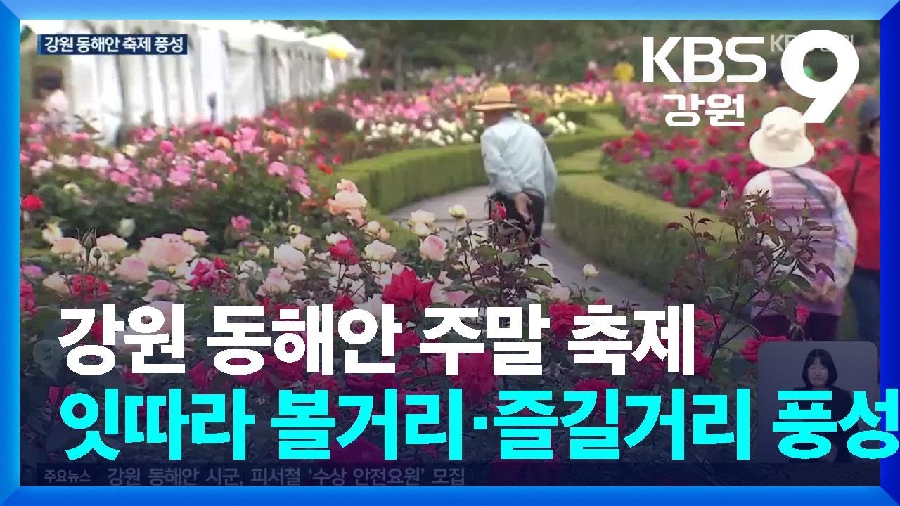강원 동해안 주말 축제 잇따라&hellip;볼거리&middot;즐길거리 풍성 / KBS  2025.05.23.