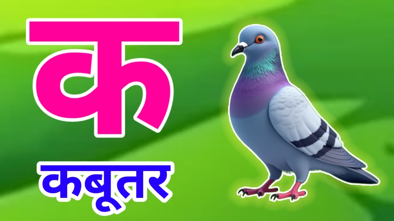 क से कबूतर | अ से अनार | Hindi Varnamala | A se Anar Aa se Aam Hindi Rhymes| Kids Learning Video 574