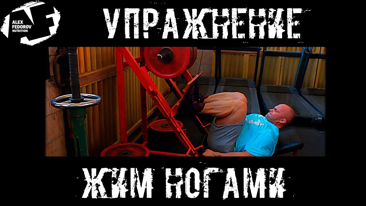 Упражнение: жим ногами \ Leg press