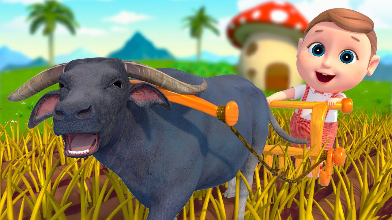 Animal Dance Song - Taking Care Baby + More Funny Kids Songs & Nursery Rhymes
