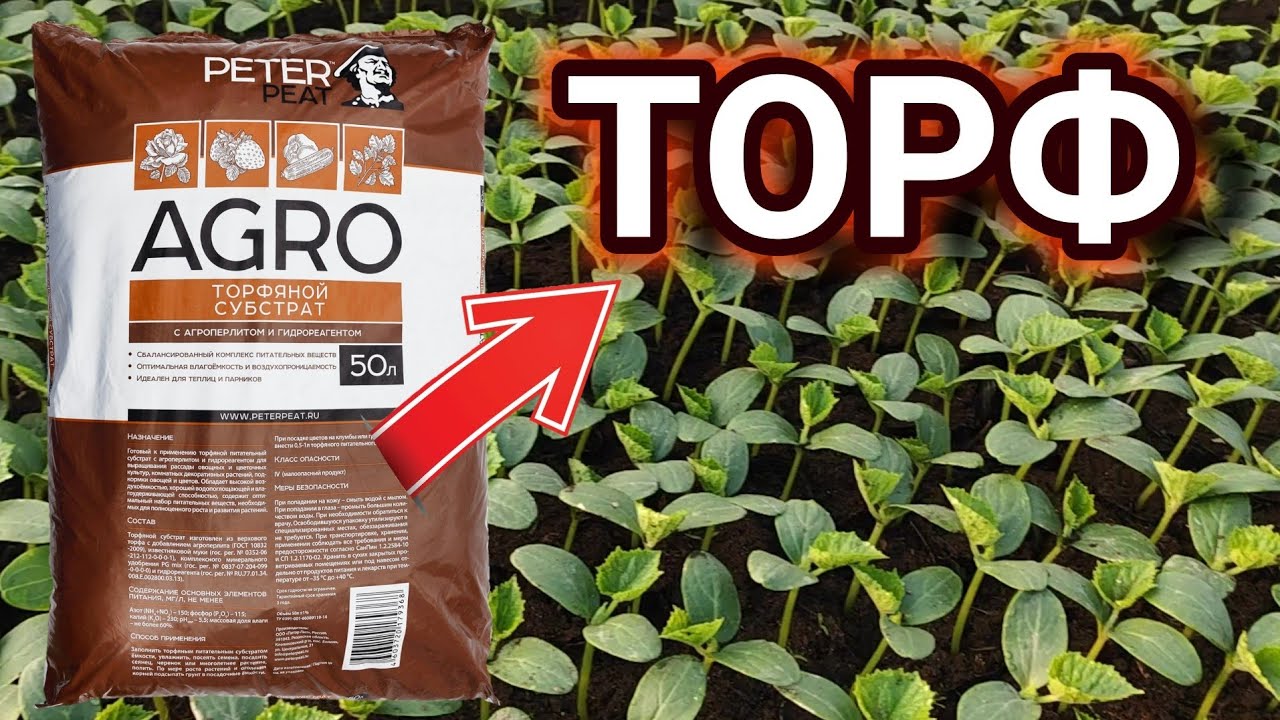 Koʻchatlar uchun oʻgʻitli Tuproq ( ТОРФ ) Foydasi chirindidan zoʻr.