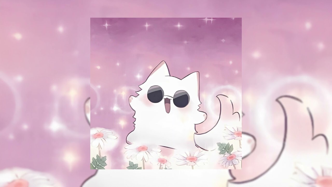 cat ( speed up)