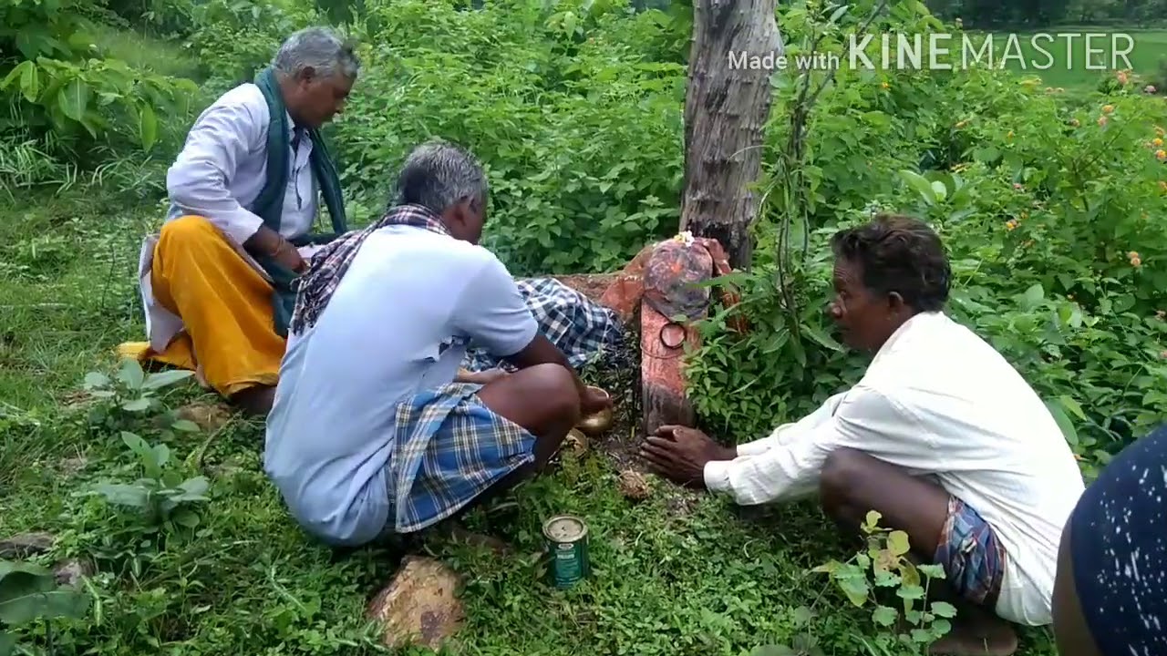 Dongri pahad Dhitori korba chhattisgarh