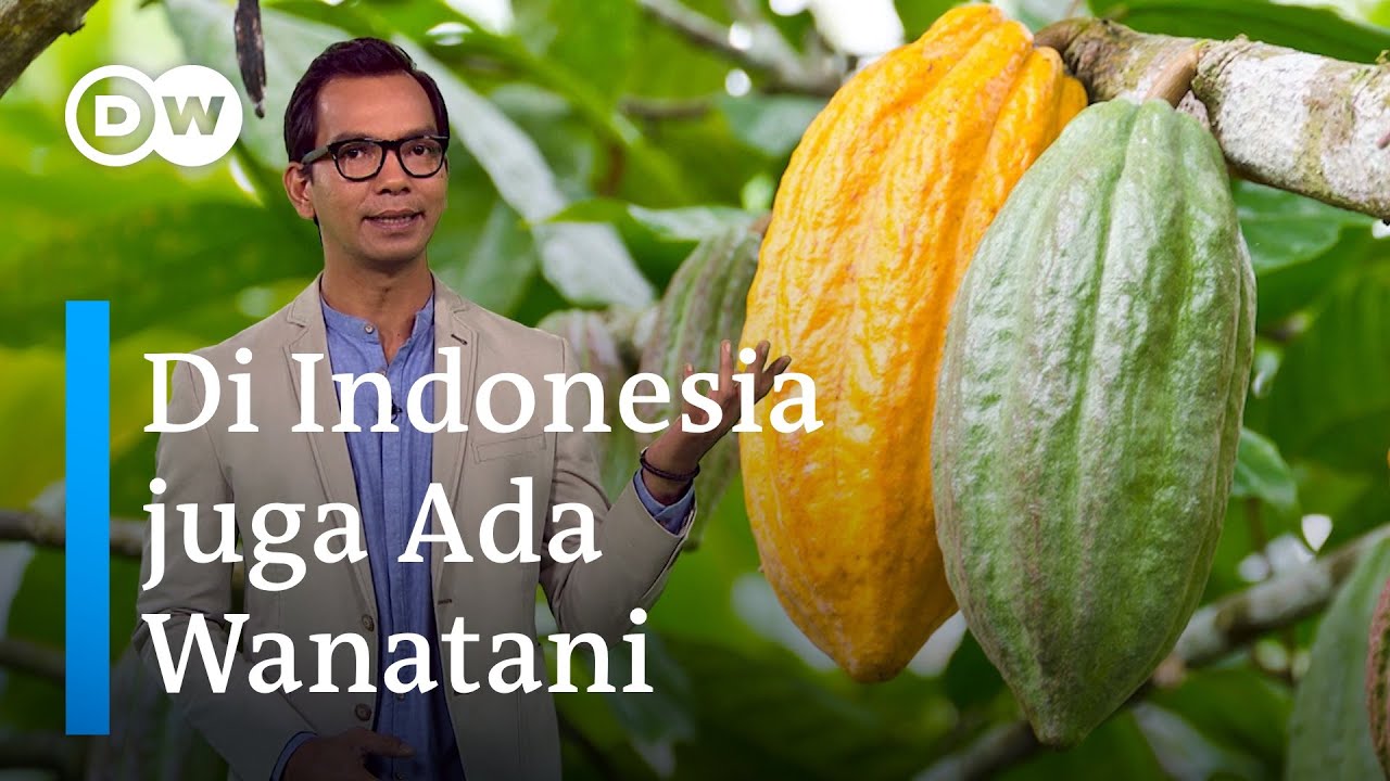 Bagaimana Agroforestri Bisa Menyelamatkan Lahan Pertanian Tandus di Pantai Gading | DW Inovator
