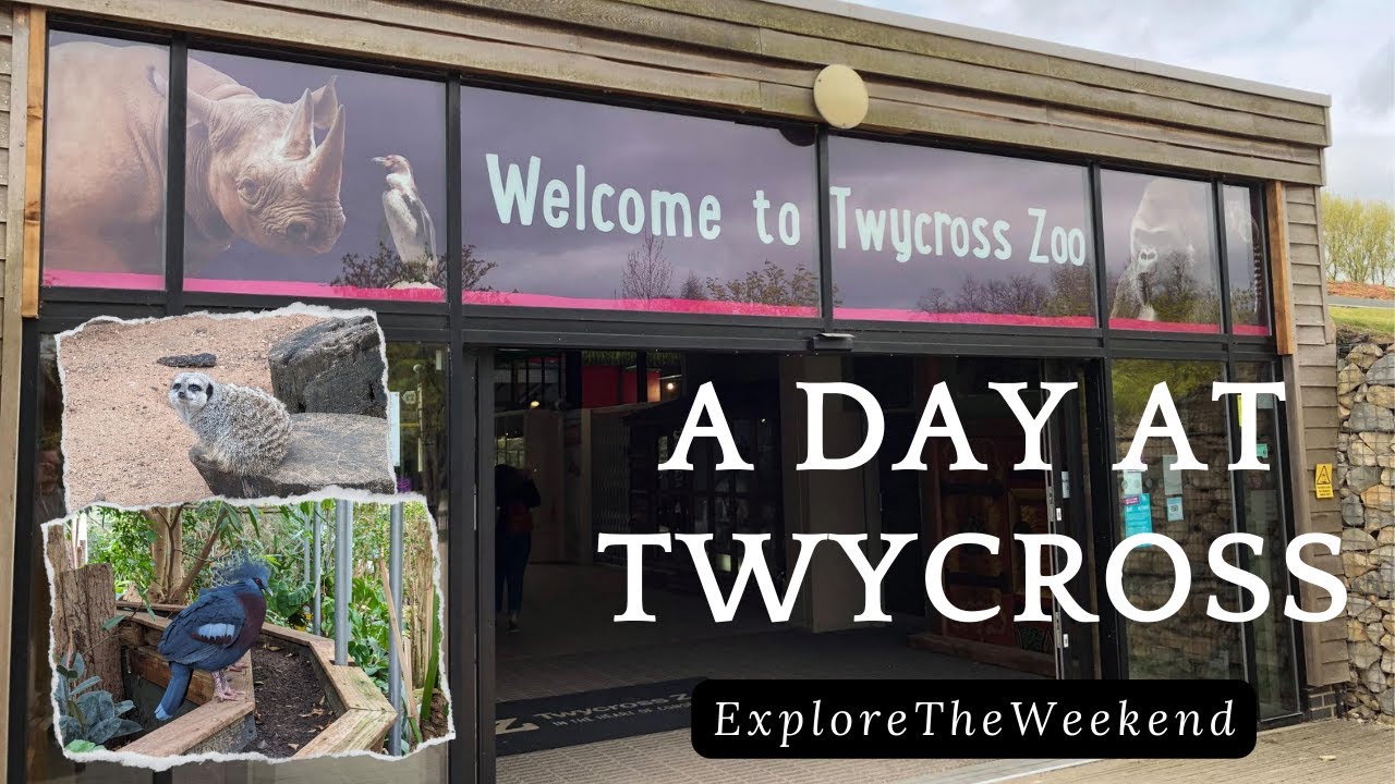 Twycross Zoo: A Leicestershire Gem?