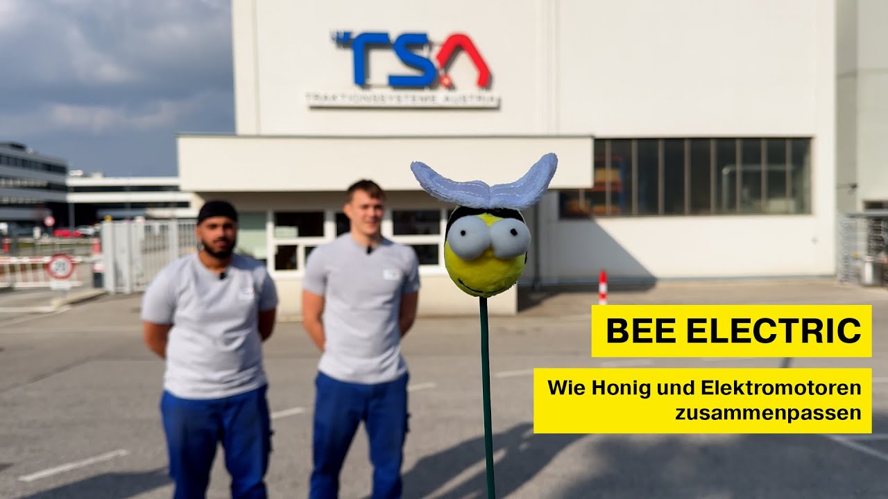 Bee electric - Wie Honig und Elektromotoren zusammenpassen