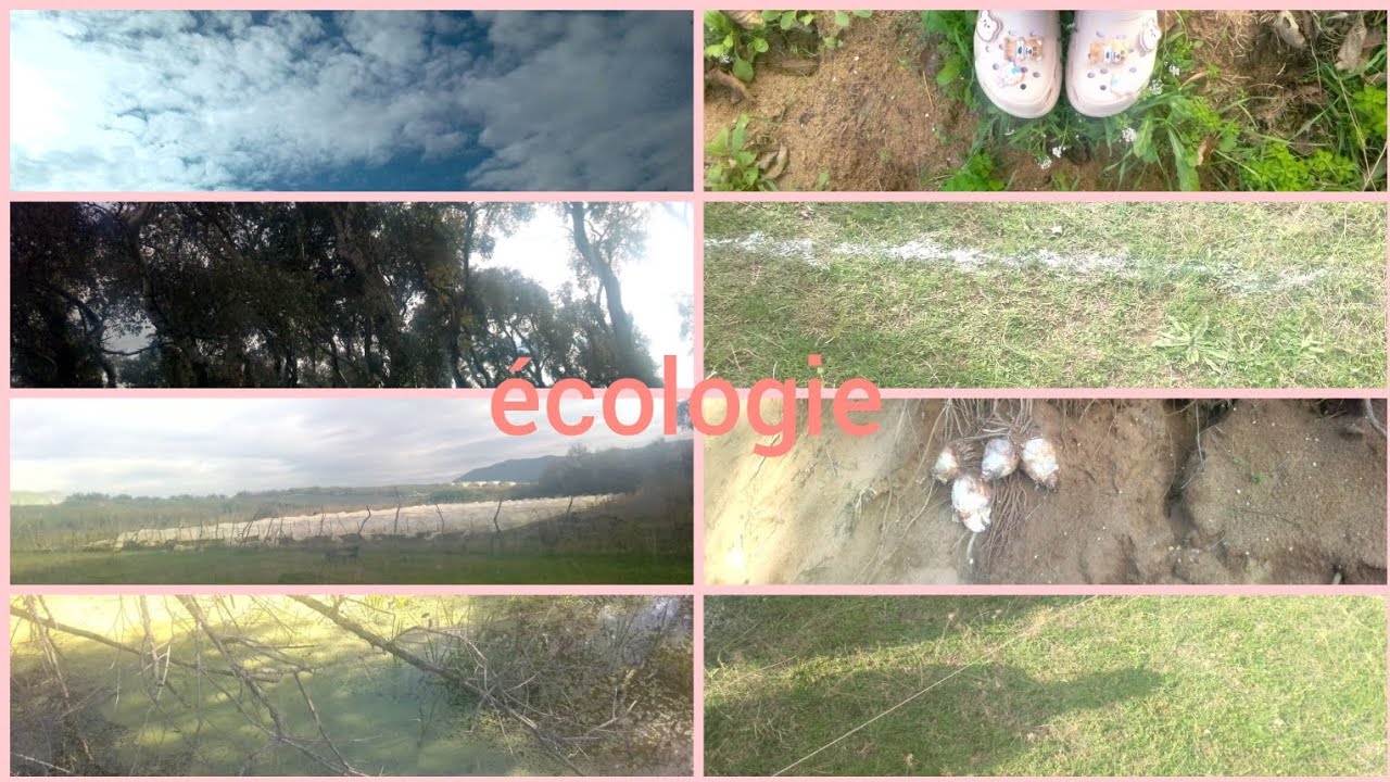 ثالث خرجة ميدانية في مجال الدراسة 🌸écologie