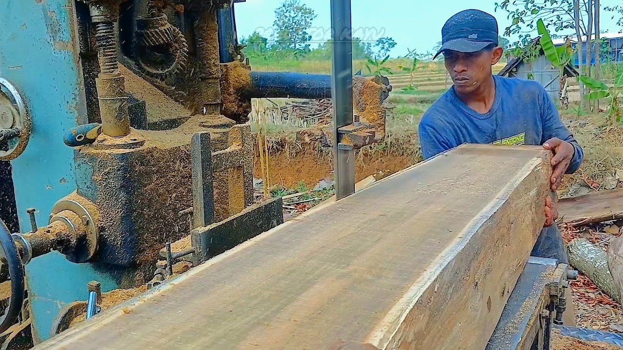 BIKIN OPRATOR KAGUM Melihat Galih Kayu Jati Super‼️Bahan Balok-Gergaji Rakitan