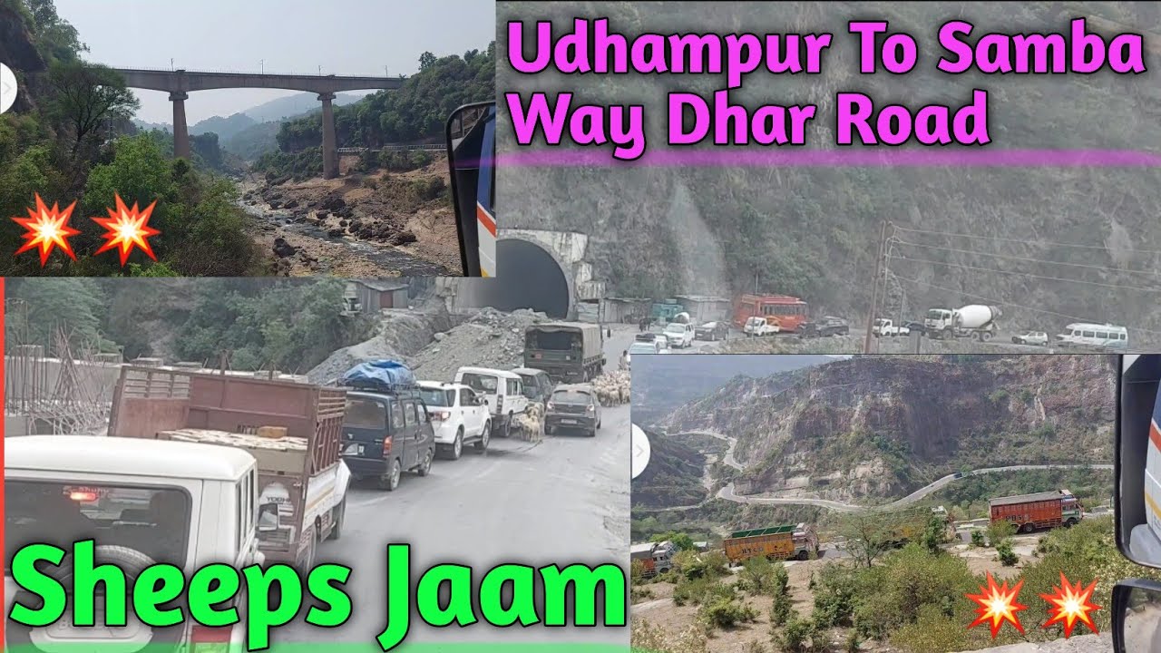 Udhampur To Samba Way Dhar Road /Sheeps Jaam / TRUCK DE SHOKEEN  / Indian Trucking Vlog / jk11wale /