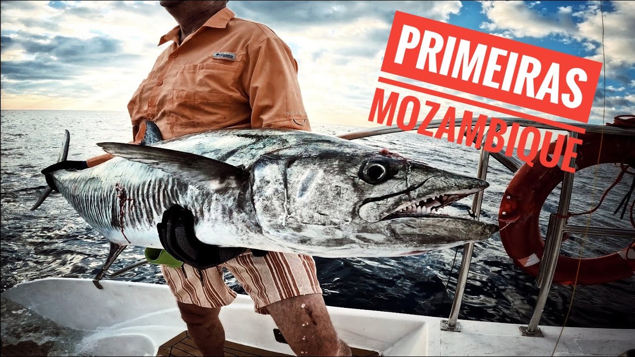 PRIMEIRAS BANKS MOZAMBIQUE .. WILD !