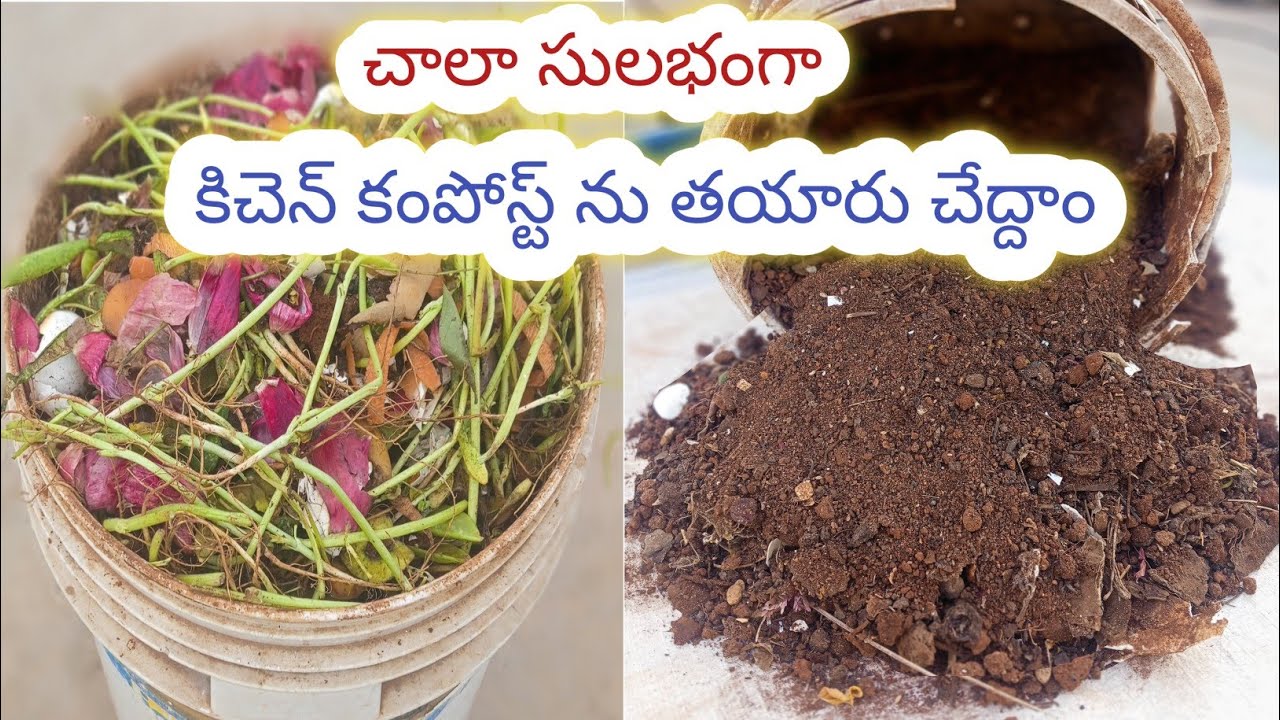 వాసన లేని కిచెన్ కంపోస్ట్ తయారీ/how to make compost at home/kitchen waste compost #garden #compost 