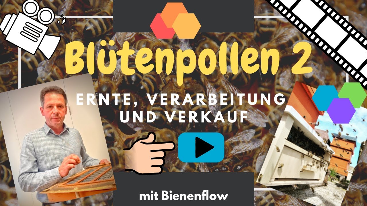 Blütenpollen Teil 2 - Ernte, Verarbeitung und Verkauf - zu Besuch in der Grazer Imkerschule