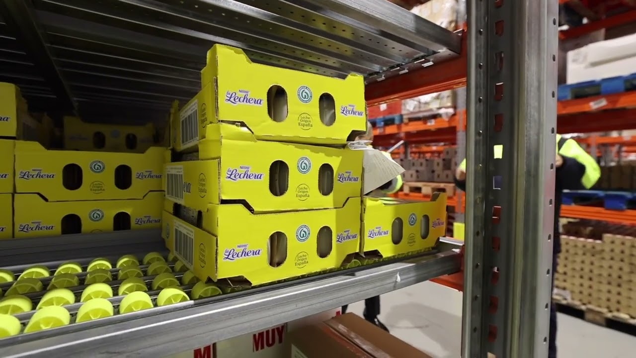 Visita del presidente de la CCE a las instalaciones de SPAR GRAN CANARIA