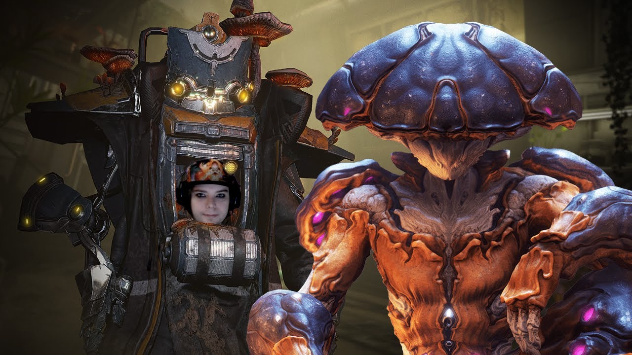 Warframe Late Nire playing with Viewers