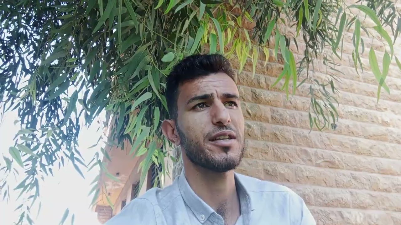 مقارنة نسبة الزيت لأربعة اصناف زيتون مختلفة منها القزمي ومنها البلدي.....#6