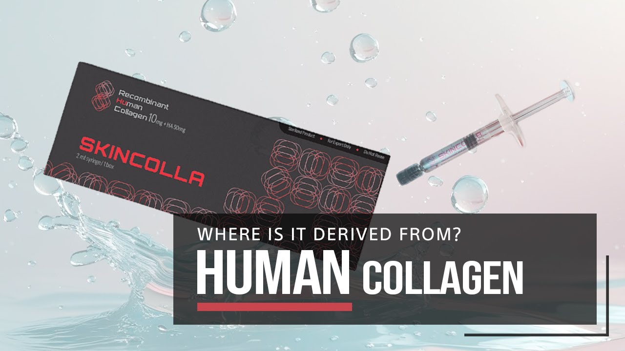 Human Collagen in K-Beauty: Why Skincolla Is Korea’s Hottest Anti-Aging Trend