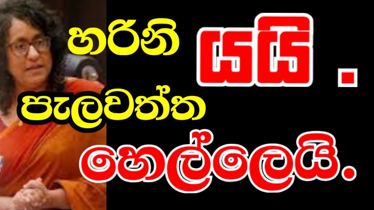 මාලිමාවට දැන් 