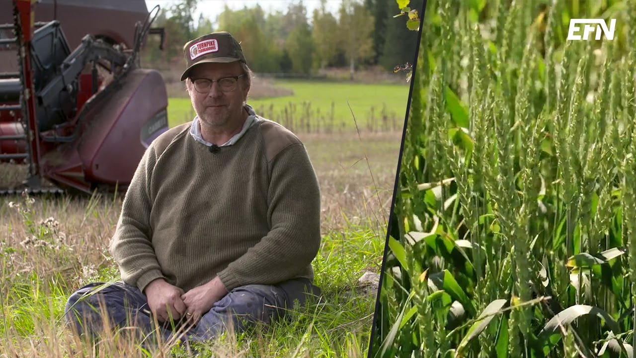 Så rustar du lantbruket för klimatförändringar