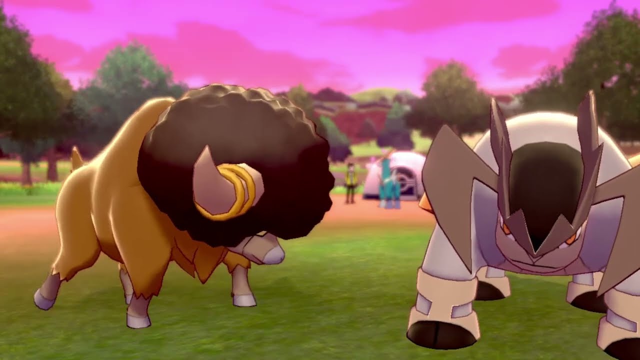 I forgot how cute CAMP was